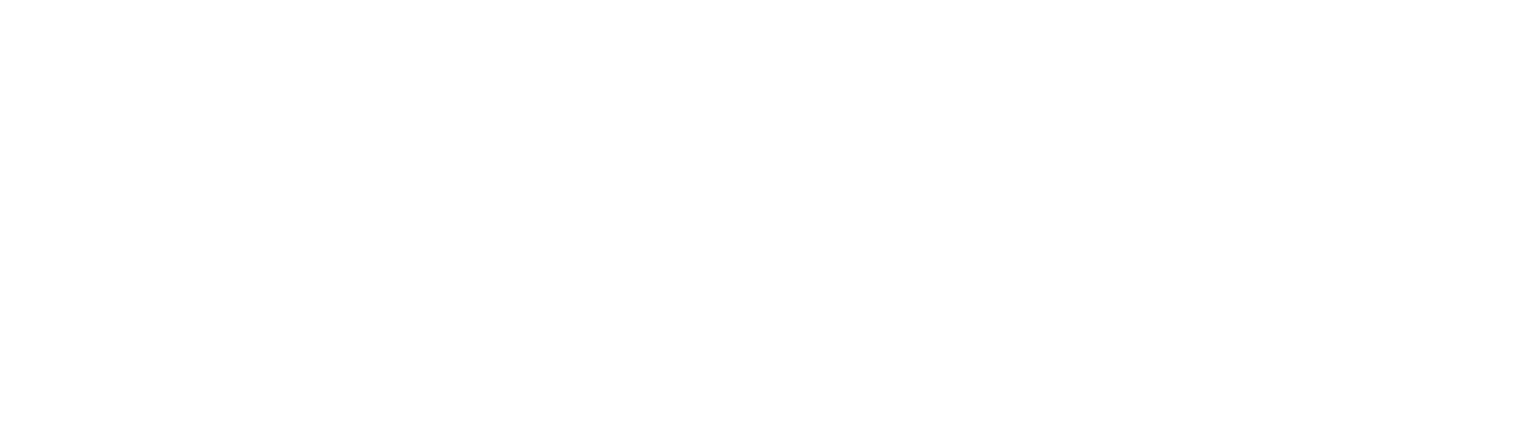 Saytec